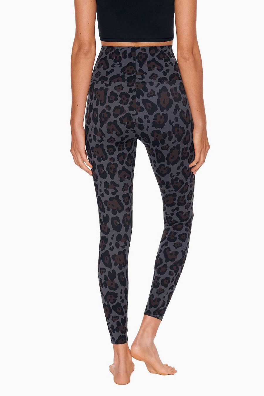 Miraclesuit Athleisure Legging Jaguar Best